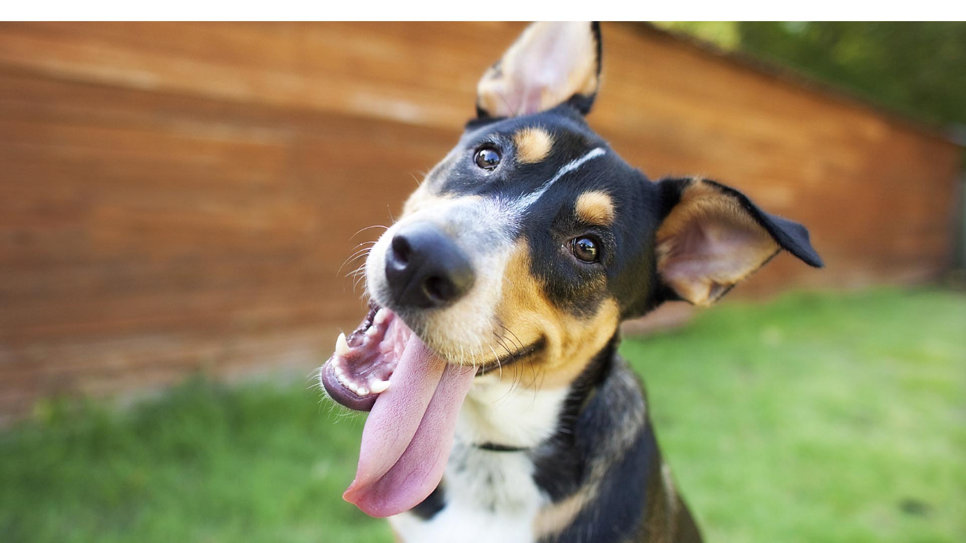 Bootstrap Touch Slider